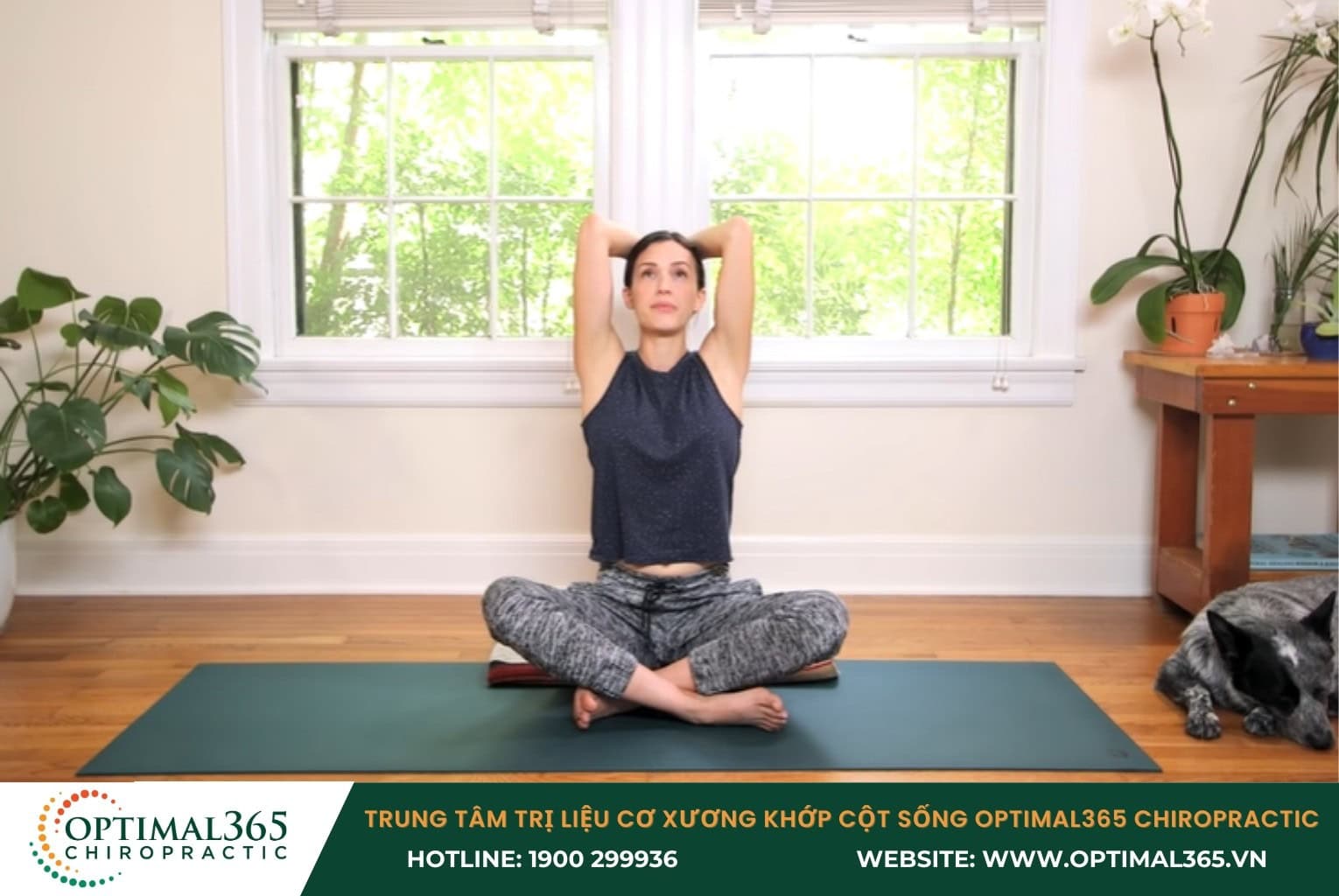 Bài tập cơ cân bằng chữa thoát vị đĩa đệm đốt sống cổ