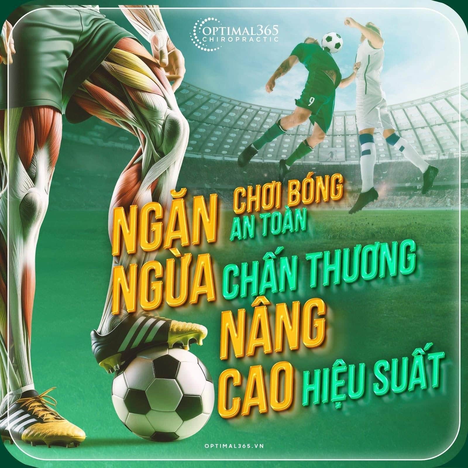 Chiropractic - Giải pháp tối ưu hiệu suất, sự bền vững của vận động viên