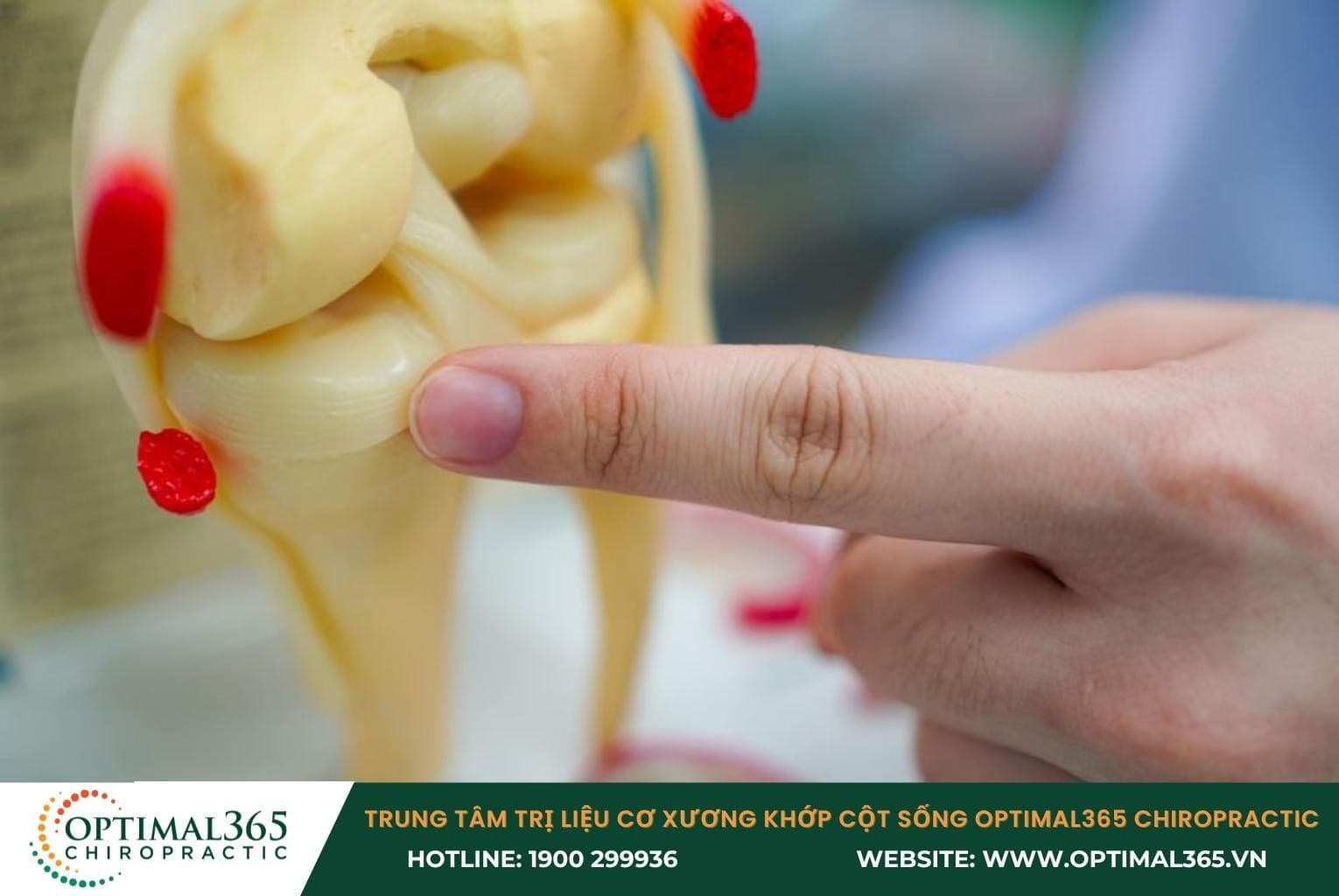 Tổn thương cơ bản: Chấn thương đầu gối