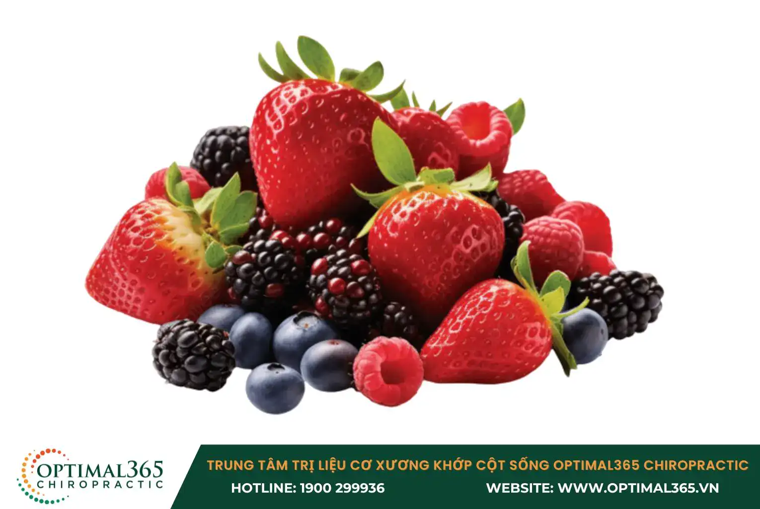 Quả mọng chứa lượng lớn các chất chống oxy hóa như anthocyanin, flavonoid và vitamin C