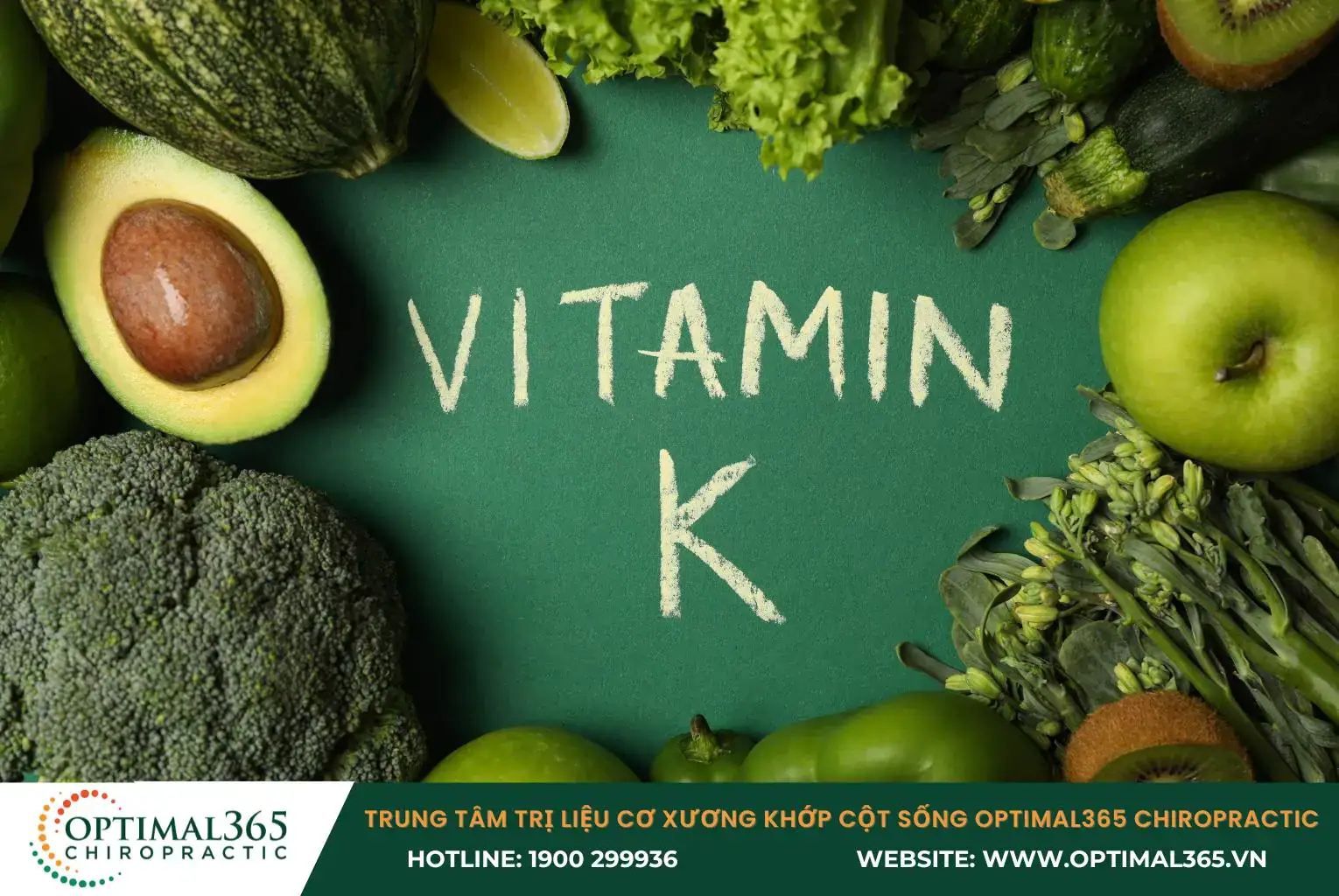 Vitamin K hoạt động như một chất xúc tác, giúp kích hoạt protein osteocalcin