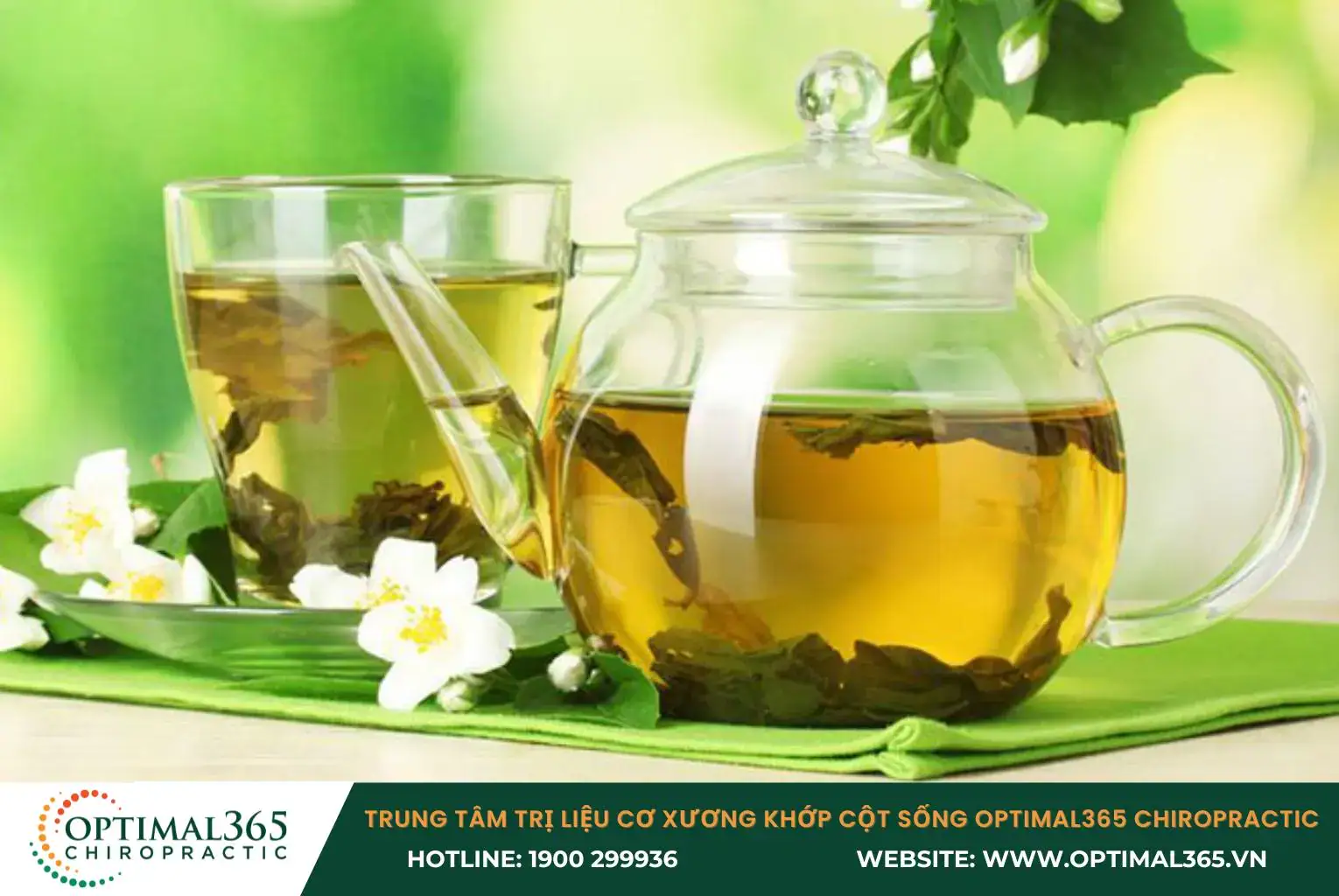 EGCG giúp bảo vệ sụn khớp khỏi bị tổn thương, làm chậm quá trình thoái hóa khớp