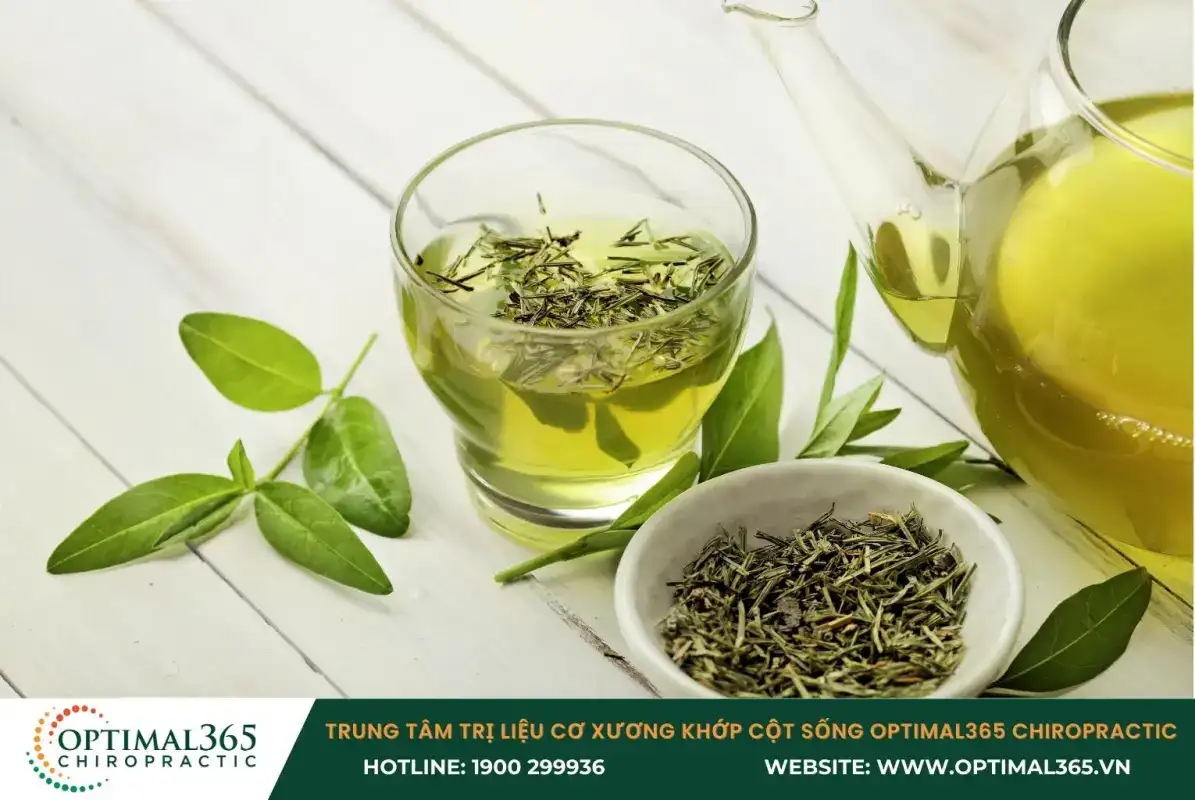 Trà xanh giúp ngăn ngừa sưng viêm, giảm thoái hóa khớp 