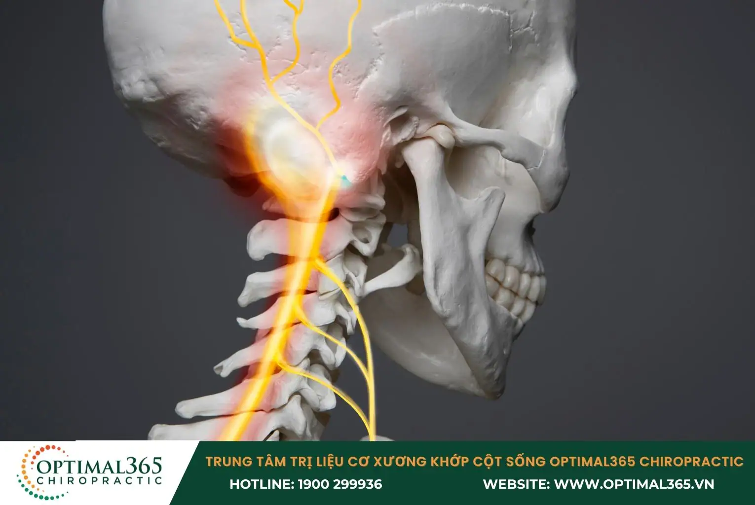 Đau cổ do bệnh lý vùng cổ