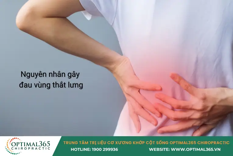 Nguyên nhân gây đau vùng thắt lưng