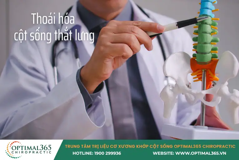 Thoái hóa cột sống thắt lưng gây đau lưng dưới