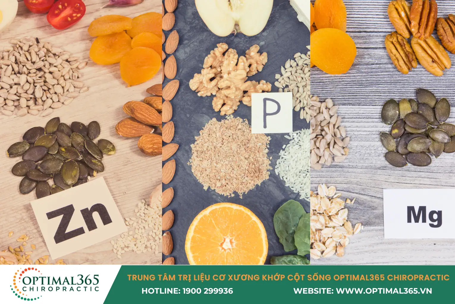 LOÃNG XƯƠNG NÊN ĂN THỰC PHẨM CUNG CẤP PHOTOPHO, MAGIE, KẼM