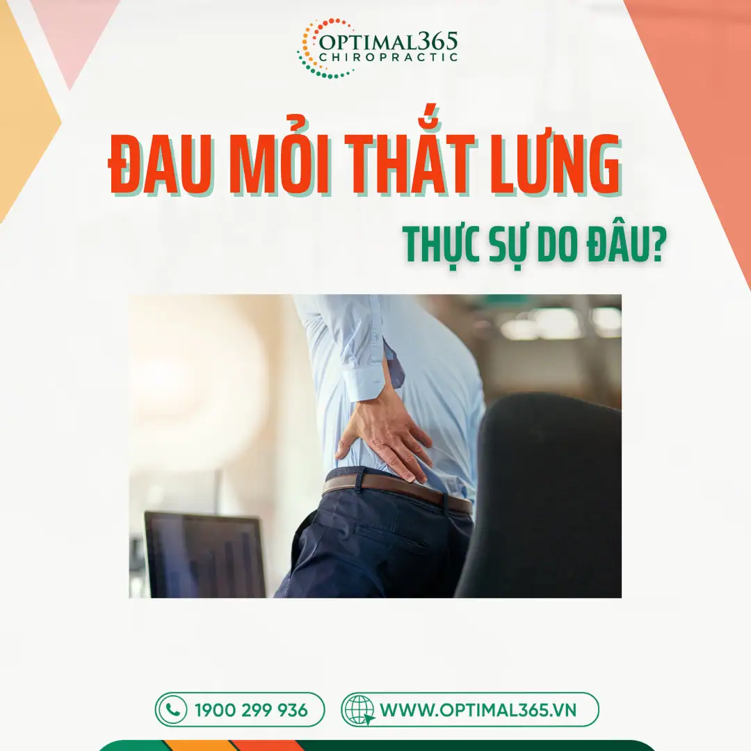 Đau mỏi thắt lưng thực sự do đâu? Giải pháp y khoa là gì?