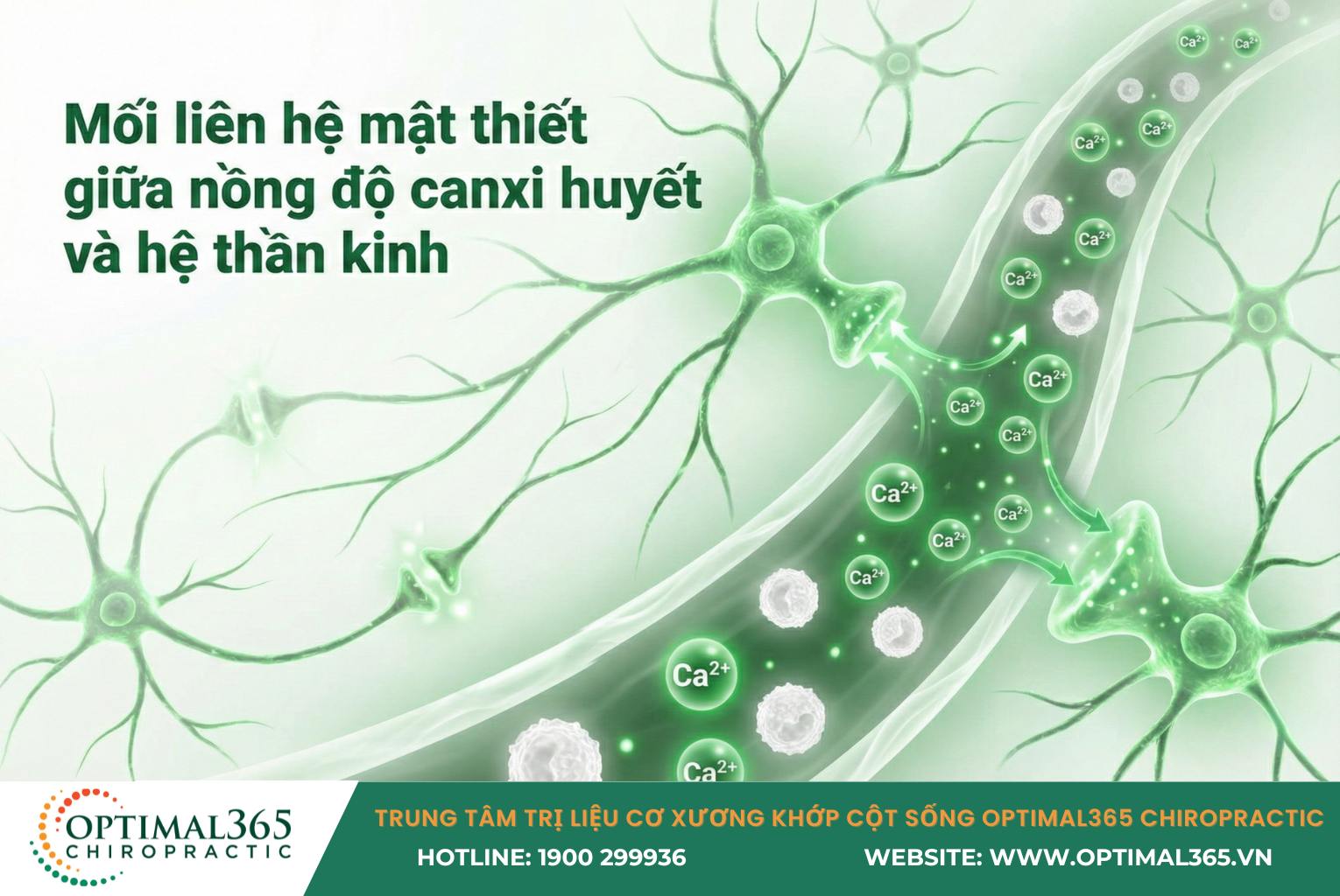 Mối liên hệ mật thiết giữa nồng độ canxi và hệ thần kinh