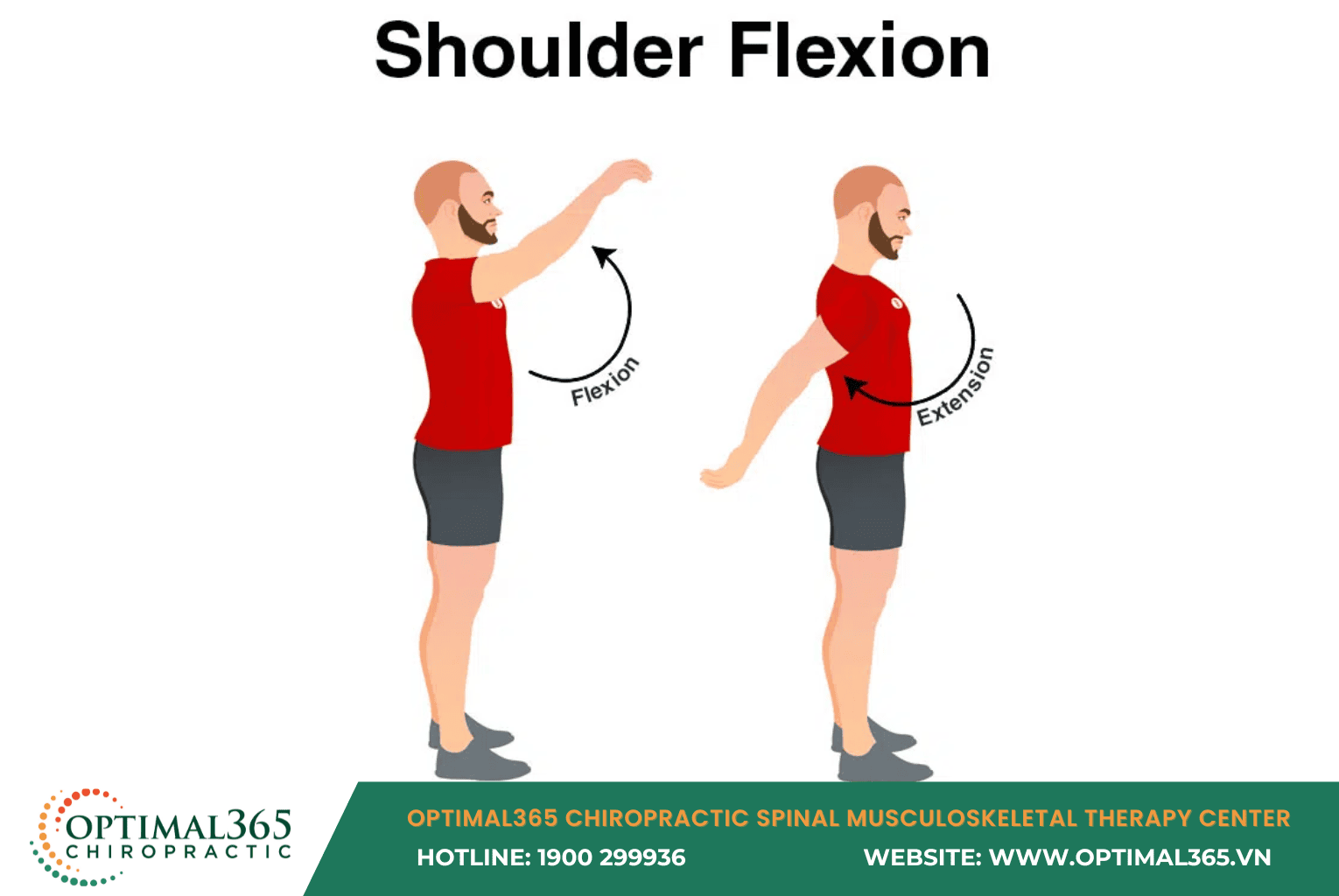 Shoulder Flexion