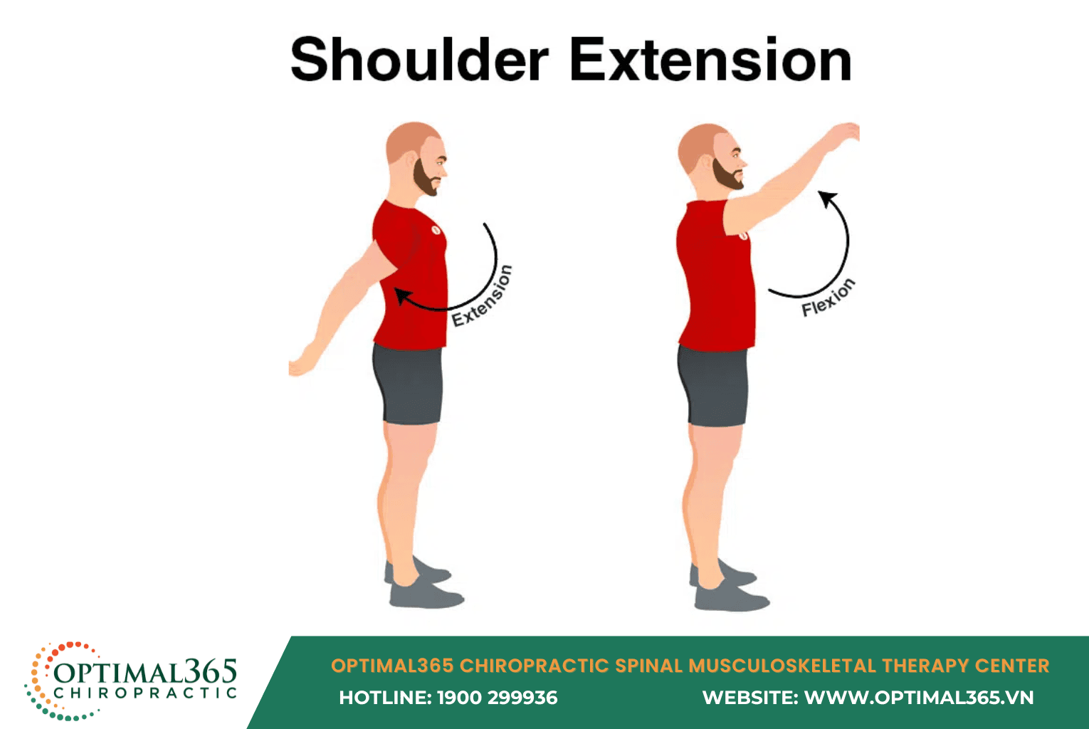 Shoulder Extension