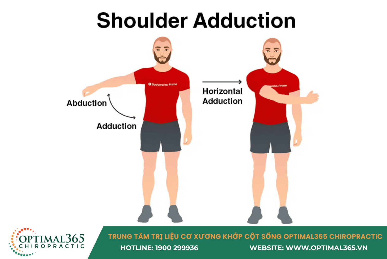 Shoulder Adduction
