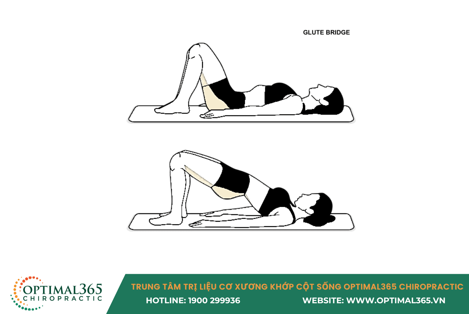 Bài tập Glute Bridge