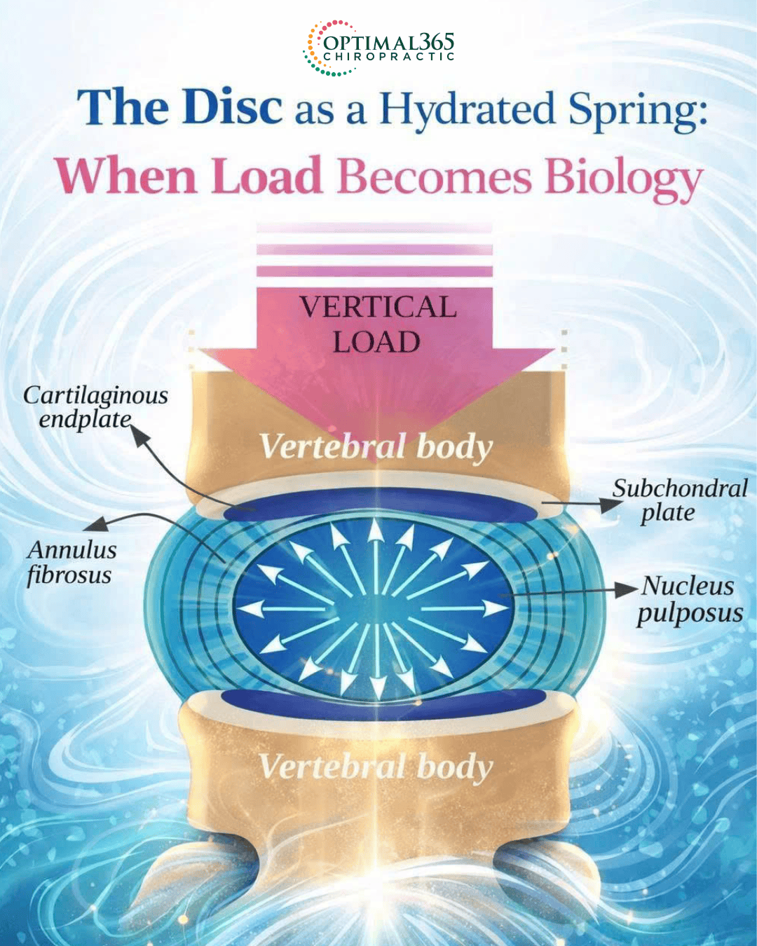 Sức khỏe đĩa đệm: Khi cơ thể lên tiếng đòi hỏi sự chăm sóc